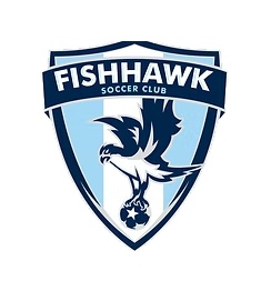 Florida Hawks FC original logo